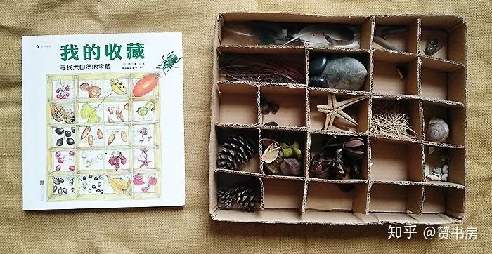 【妈妈分享】从低幼绘本到自然小百科,《I am a Bunny》背后的奥秘你发现了吗? 【妈妈分享】从低幼绘本到自然小百科,《I am a Bunny》背后的奥秘你发现了吗?