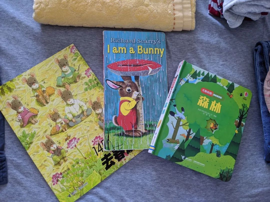 【妈妈分享】从低幼绘本到自然小百科，《I am a Bunny》背后的奥秘你发现了吗？