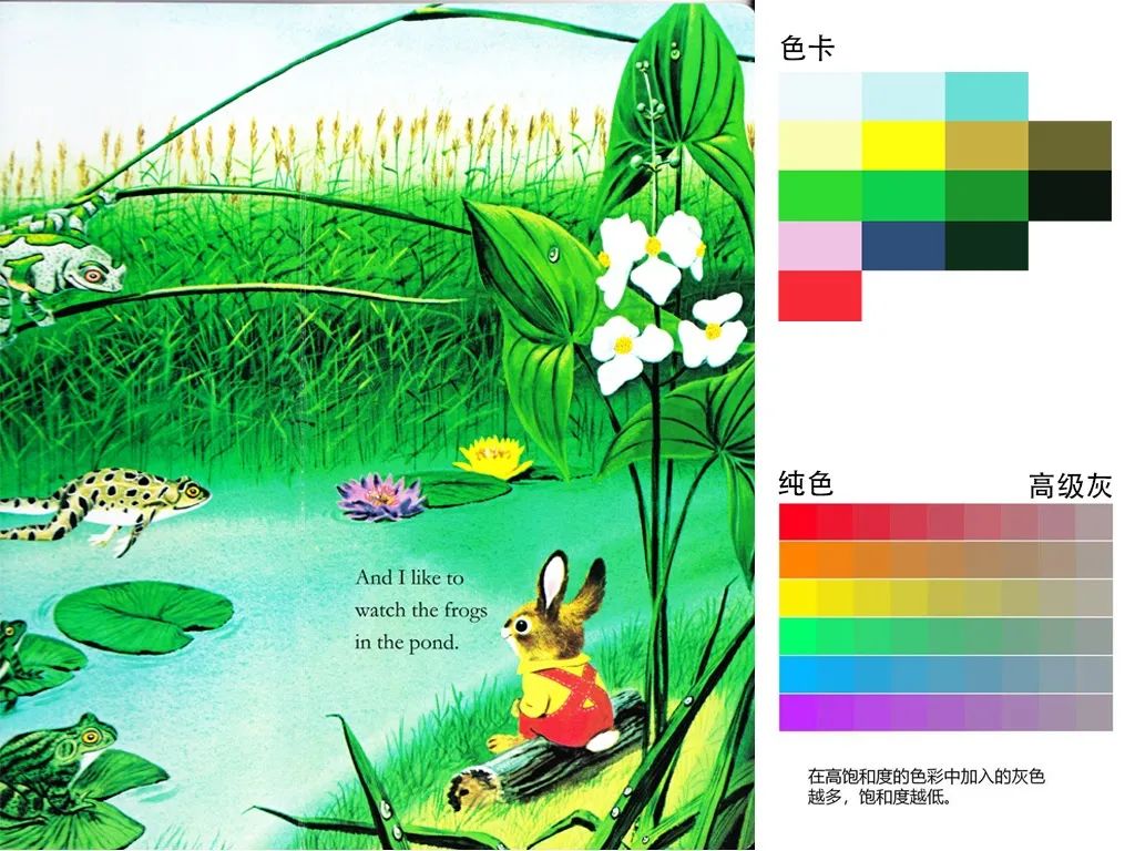 【妈妈分享】从低幼绘本到自然小百科,《I am a Bunny》背后的奥秘你发现了吗? 【妈妈分享】从低幼绘本到自然小百科,《I am a Bunny》背后的奥秘你发现了吗?