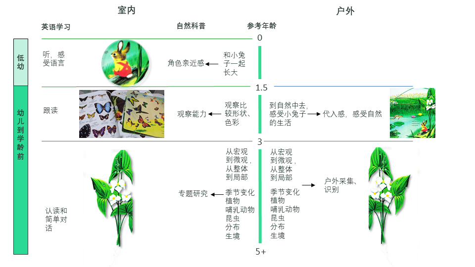 【妈妈分享】从低幼绘本到自然小百科，《I am a Bunny》背后的奥秘你发现了吗？