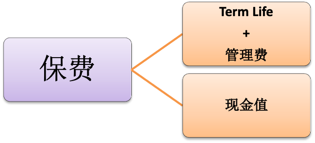 【妈妈分享】如何避免踩雷——购买保险的路与坑! 【妈妈分享】如何避免踩雷——购买保险的路与坑!