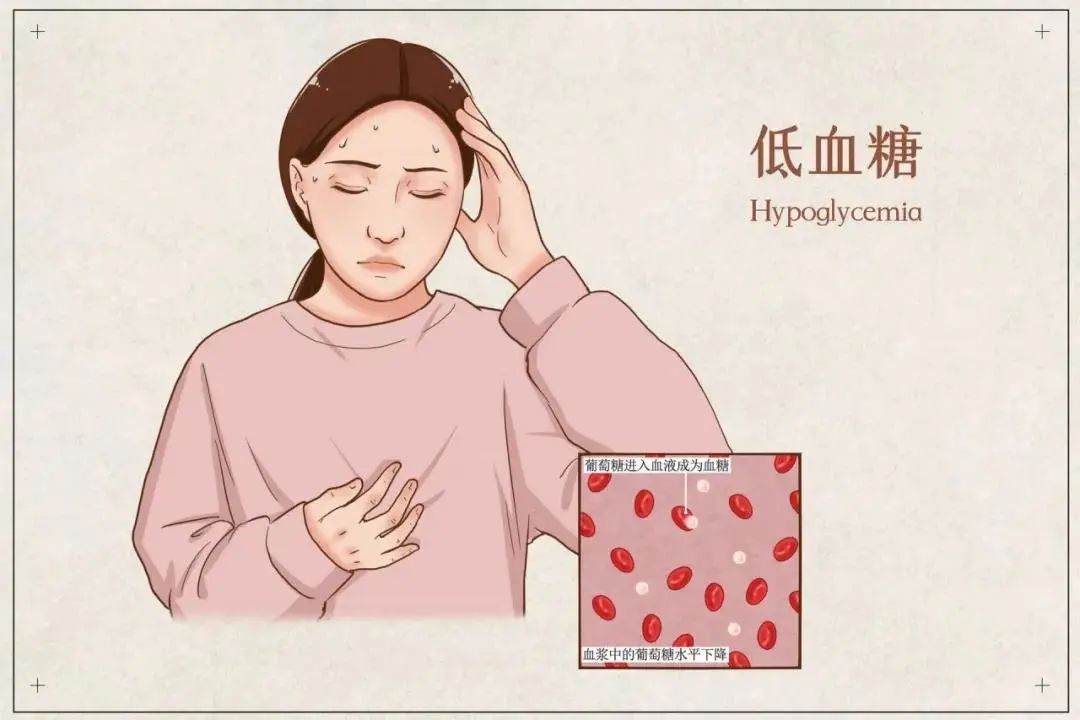 靠不吃碳水减肥可行吗?你不知道碳水有多重要! 靠不吃碳水减肥可行吗?你不知道碳水有多重要!