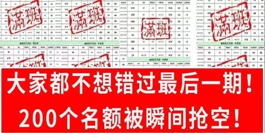 专家建议孩子要减少“垃圾娱乐”，是什么兴趣班解决孩子坐不住沉迷手机问题？不贵但受益满满！