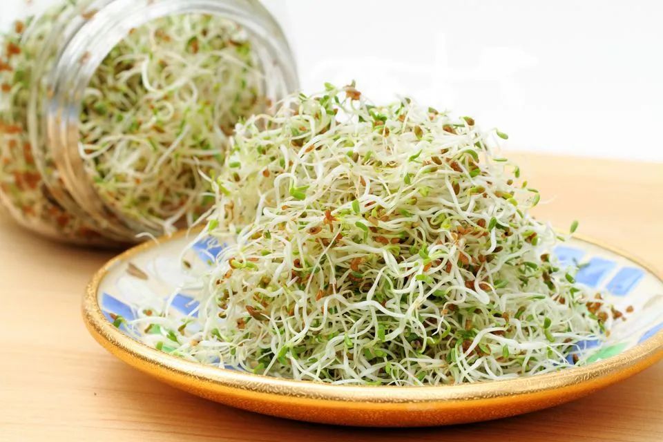 冰箱里的“冷血杀手”,低温还能顽强生长!但它却欺软怕硬,还怕热! 冰箱里的“冷血杀手”,低温还能顽强生长!但它却欺软怕硬,还怕热!