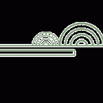 usmama-2-1655474088