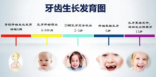 【妈妈分享】孩子没到6岁就掉牙，会不会早发育、性早熟啊？