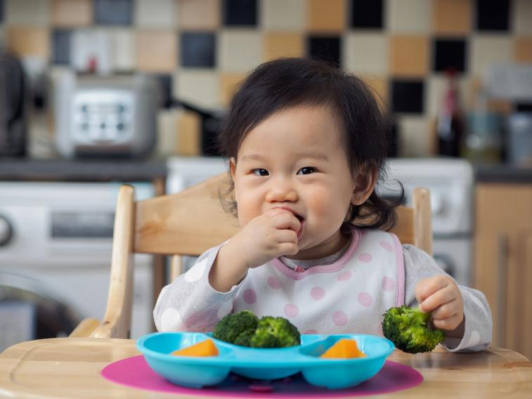 如何培养一个自己吃饭的好宝宝？宝宝自主进食（BLW）全攻略来啦