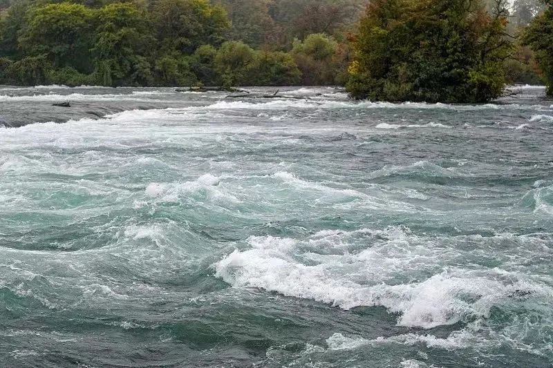 夏天游泳避开池塘河道，内州儿童河中游泳感染阿米巴食脑虫一周后去世！