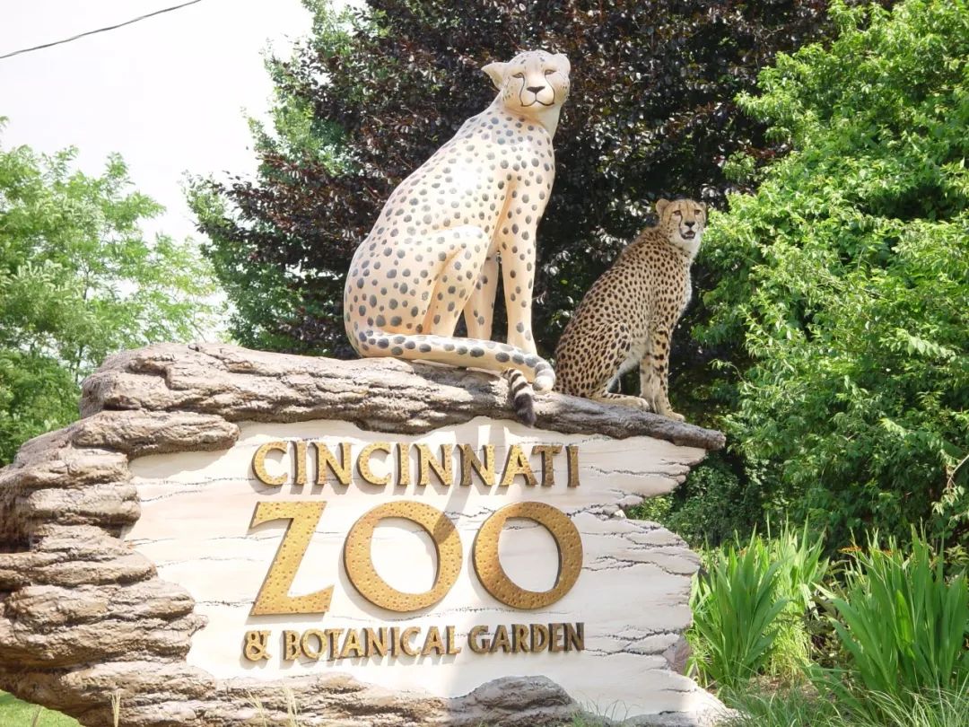 孩子喜欢去动物园吗？全美最值得游玩的30家动物园，不容错过！