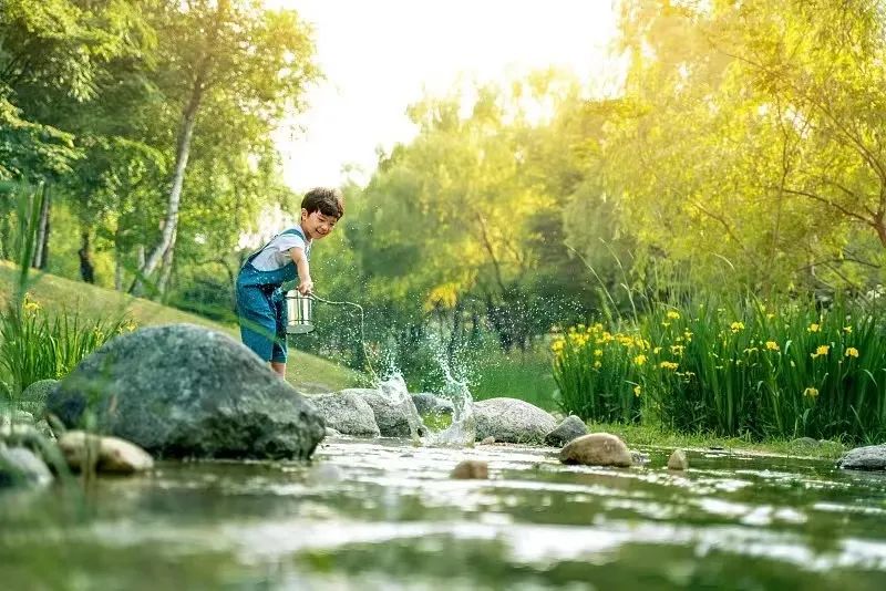 孩子户外探索，越冒险，越安全？这似乎与我们想的不一样……