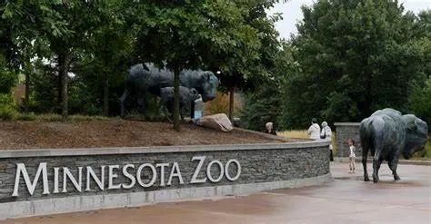 孩子喜欢去动物园吗？全美最值得游玩的30家动物园，不容错过！