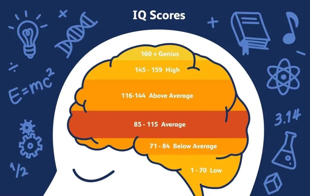给宝宝做IQ Test有必要吗?常用IQ Test有哪些? 给宝宝做IQ Test有必要吗?常用IQ Test有哪些?