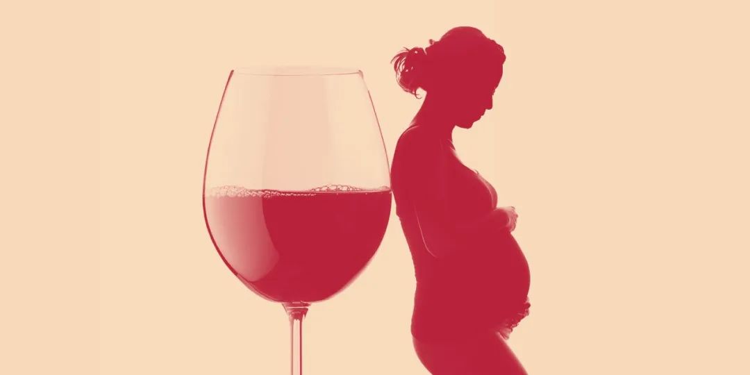 孕期到底能不能饮酒？最新研究可能会给你带来最直观的感受