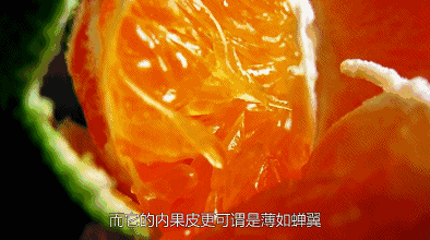 感恩大回馈,选优好物4折起!精挑礼盒,品质美味,尽在Weee!省钱省时又省力~ 感恩大回馈,选优好物4折起!精挑礼盒,品质美味,尽在Weee!省钱省时又省力~