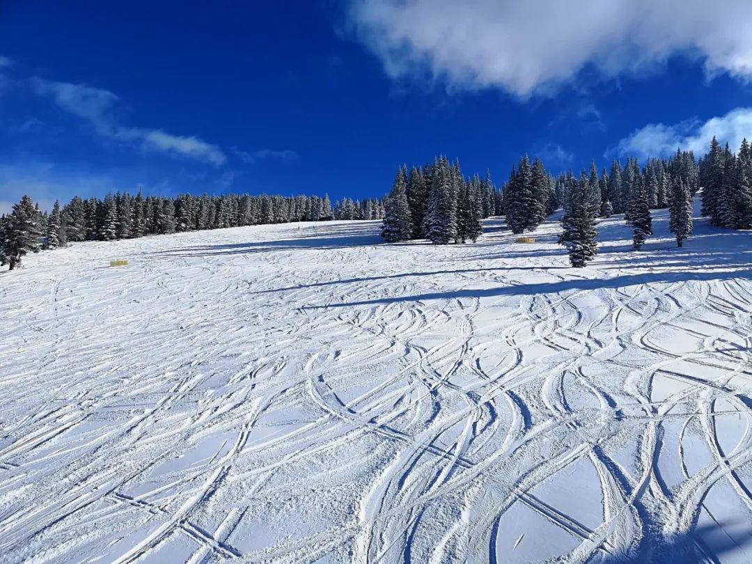 尽兴滑雪就在今冬，U.S.News告诉你最佳滑雪地都在哪里！