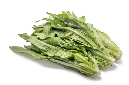 美国菜价崩了?!这家超市菜价太震撼!猪小排仅$2.99/lb,豆腐$1,超多史低价! 美国菜价崩了?!这家超市菜价太震撼!猪小排仅$2.99/lb,豆腐$1,超多史低价!