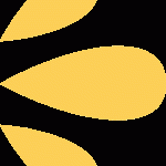 usmama-7-1692931440