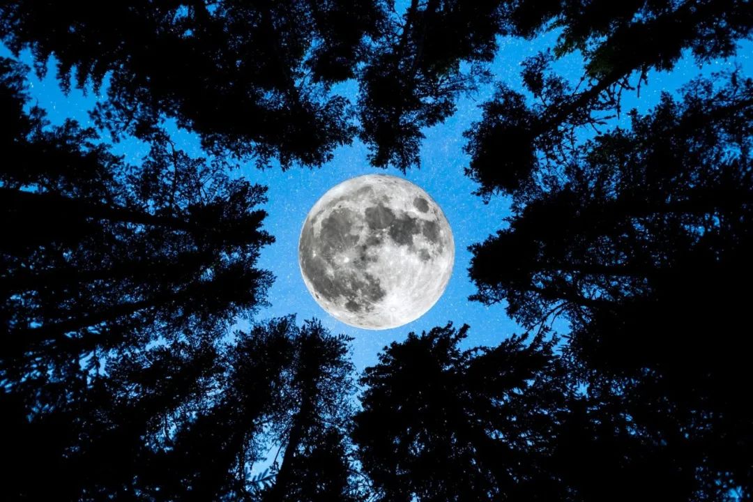 今晚，带娃看看最大满月“超级蓝月亮”吧！下次得等14年！