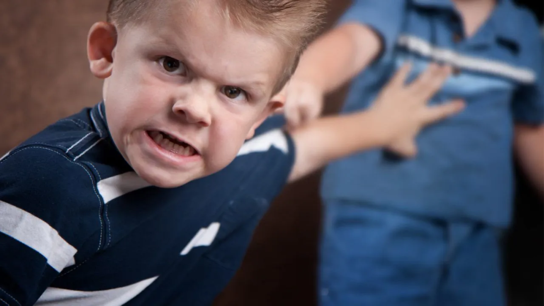 toddler出现攻击性行为，如何判断孩子是否有暴力倾向，我们该做些什么？