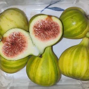 更适合中国宝宝的秋日进补,新鲜松茸,贝贝南瓜强势登陆这家华人超市 更适合中国宝宝的秋日进补,新鲜松茸,贝贝南瓜强势登陆这家华人超市