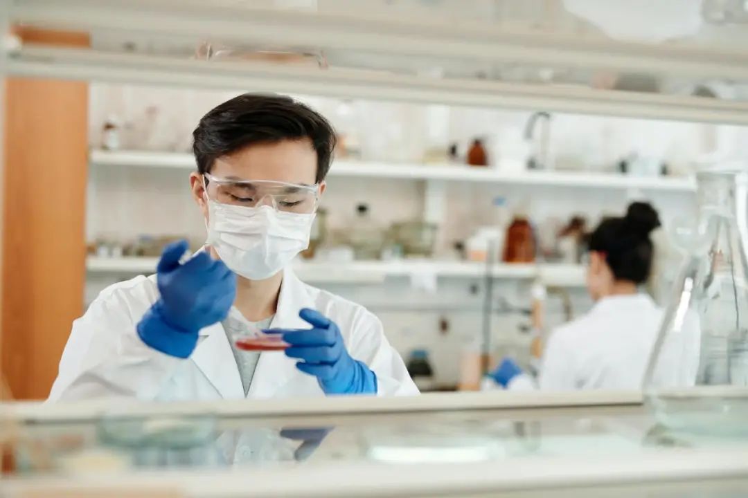 癣病具体的传播途径,孩子得了癣怎么办?日常注意卫生很重要! 癣病具体的传播途径,孩子得了癣怎么办?日常注意卫生很重要!