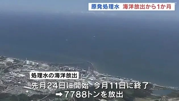 日本核污水排放后，孩子该如何安全吃鱼呢？