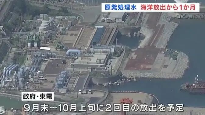 日本核污水排放后,孩子该如何安全吃鱼呢? 日本核污水排放后,孩子该如何安全吃鱼呢?