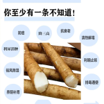 0b98204fe500c74c84da664e2b370f91-sz_474541