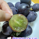 d4861fd72453994fc6a66102ebbfbca8-sz_2618525