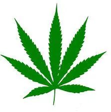 万圣节要糖太开心,也要注意那些有迷惑性的大麻糖果!(内有美国大麻合法州最新update) 万圣节要糖太开心,也要注意那些有迷惑性的大麻糖果!(内有美国大麻合法州最新update)