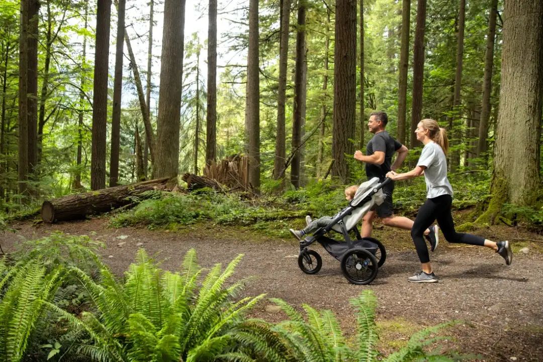 给娃选Stroller,选到群里妈妈们口袋名单里的天菜,价格贵还折扣少,为什么你们都买它啊? 给娃选Stroller,选到群里妈妈们口袋名单里的天菜,价格贵还折扣少,为什么你们都买它啊?