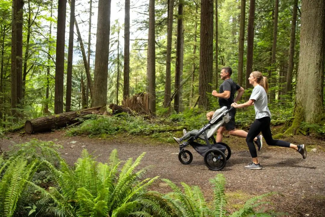 给娃选Stroller，选到群里妈妈们口袋名单里的天菜，价格贵还折扣少，为什么你们都买它啊？