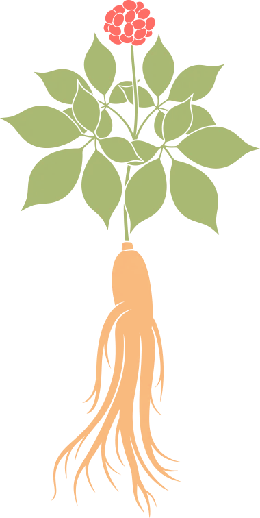 分娩过程中的守护天使,产妇陪护如何助准妈妈度过难关? 分娩过程中的守护天使,产妇陪护如何助准妈妈度过难关?