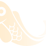 usmama-2-1708132159