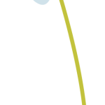 usmama-1-1710998941