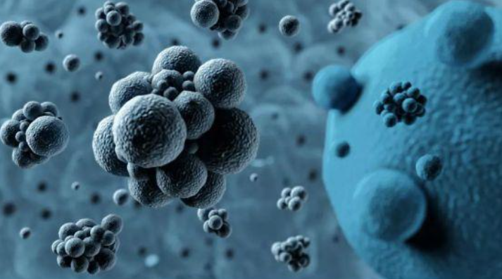 什么是EB病毒？传染性单核细胞增多症和它有什么关系？病症和治疗方法是什么？