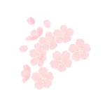 usmama-3-1720663632