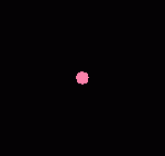 usmama-5-1721702992