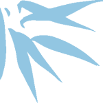 usmama-7-1728610995