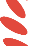usmama-9-1729216264