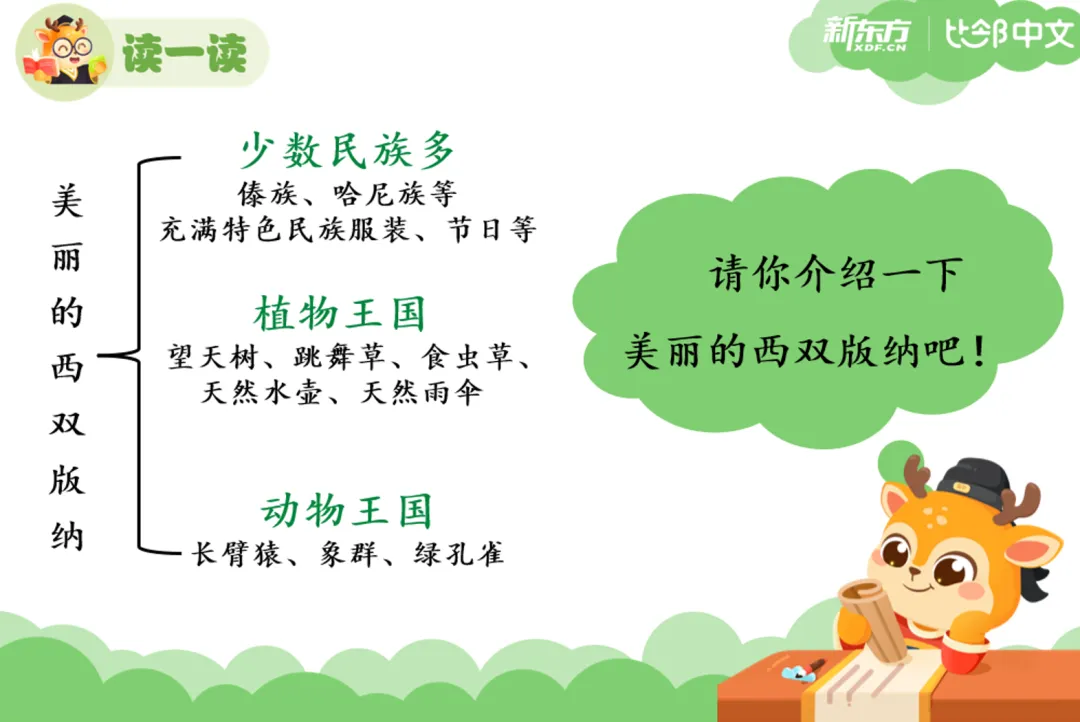 喜迎双11，好礼享不停！