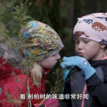 微信图片_20250502145134